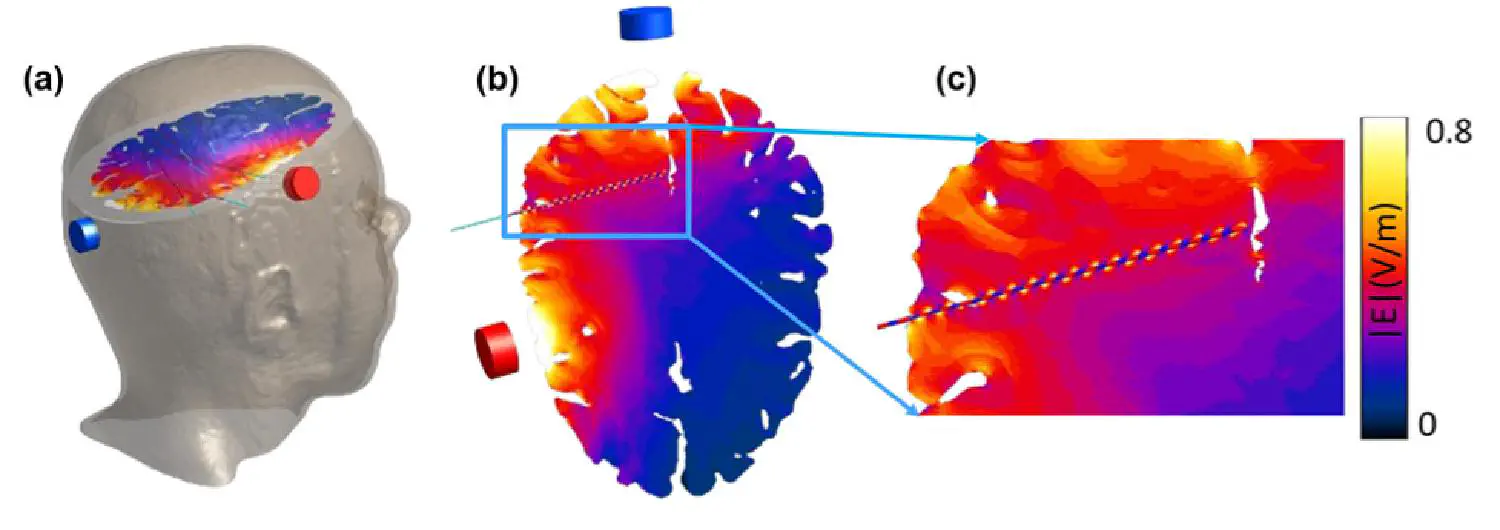 Fig3-anatomical-model-validation.jpg